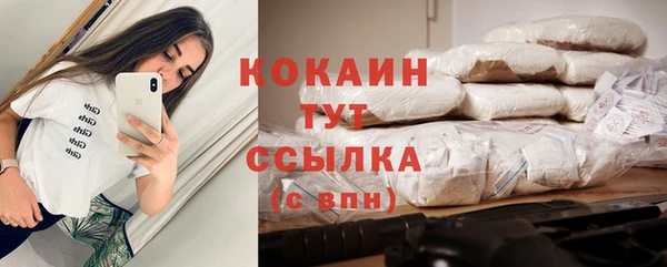 прущая мука Инсар