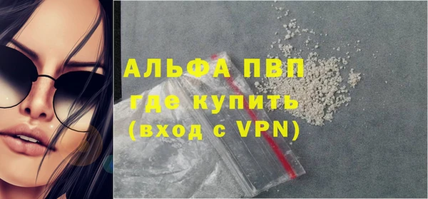 мяу мяу мука Инта