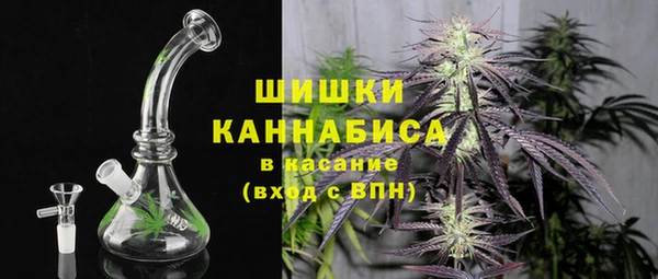 прущая мука Инсар